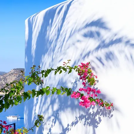 The White Collection - Sky Villa